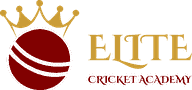 Elite Cricket Academy Elite Cricket Academy logo - branding and website client of Mahadhi Technologies