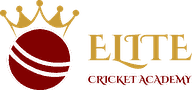 Elite Cricket Academy Elite Cricket Academy logo - branding and website client of Mahadhi Technologies